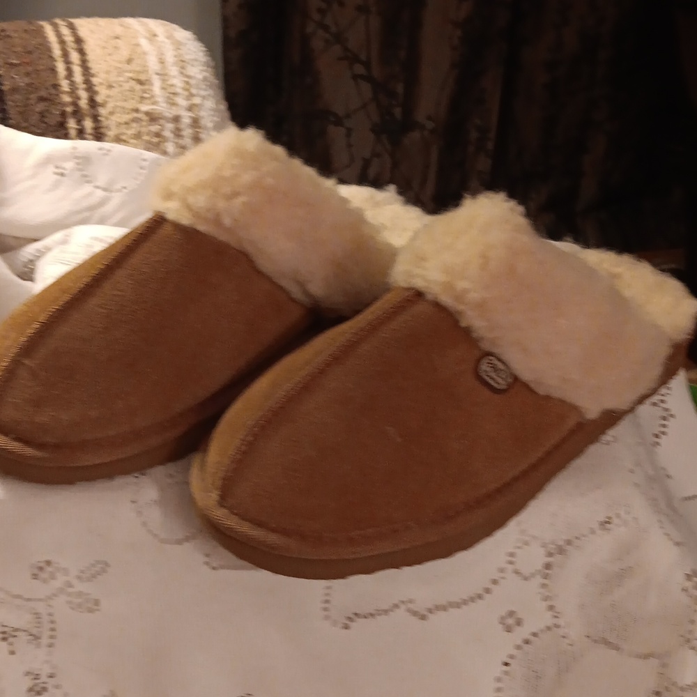 Pawz Slippers